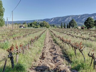 Cottage Oppède Umgebung 25