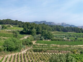 Villa Valréas Environment 34