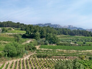Villa Valréas Entorno 31