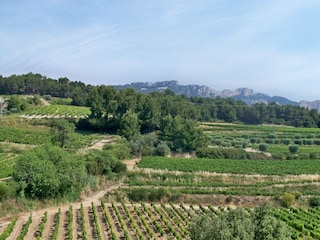 Villa Valréas Umgebung 23