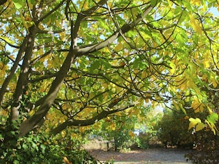 Villa Valréas Außenaufnahme 3