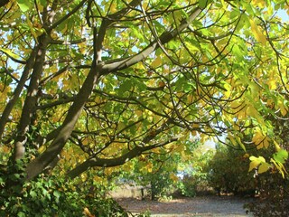 Villa Valréas Außenaufnahme 4