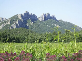 Villa Valréas Environment 24