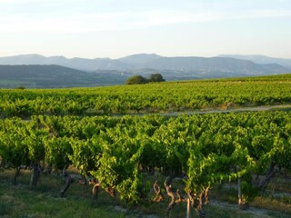 Villa Valréas Environment 26