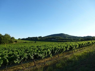 Villa Valréas Omgeving 33