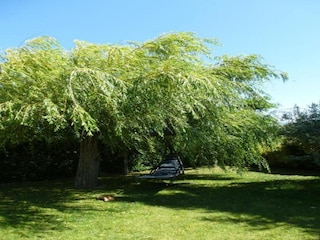 Villa Valréas Environnement 28