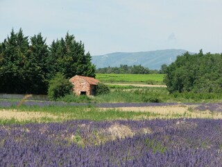 Villa Valréas Environment 25