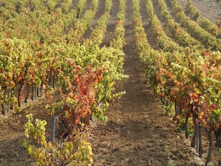 Villa Valréas Umgebung 29