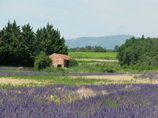 Villa Valréas Entorno 26