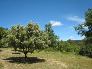 Villa Saumane-de-Vaucluse Environnement 22