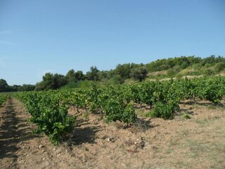 Ferienhaus L´Isle sur la Sorgue Umgebung 37