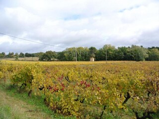 Vakantiehuis L´Isle sur la Sorgue Omgeving 41