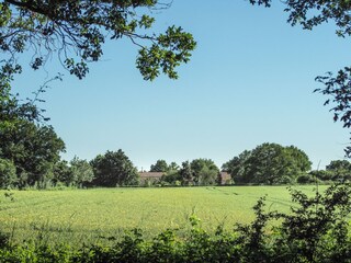Vakantiehuis Marsais-Sainte-Radégonde Omgeving 31
