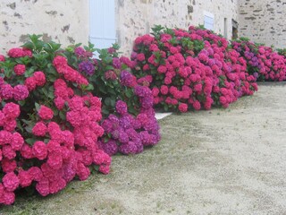 Vakantiehuis Marsais-Sainte-Radégonde  35