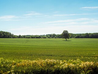 Vakantiehuis Marsais-Sainte-Radégonde Omgeving 27