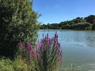 Ferienhaus Marsais-Sainte-Radégonde Umgebung 33