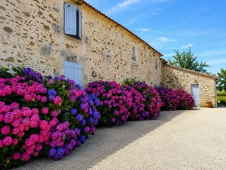 Ferienhaus Marsais-Sainte-Radégonde Außenaufnahme 6
