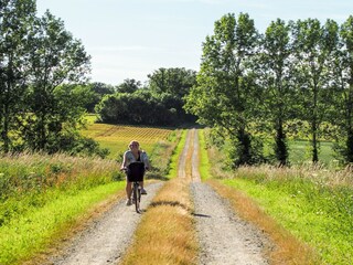 Vakantiehuis Marsais-Sainte-Radégonde Omgeving 33