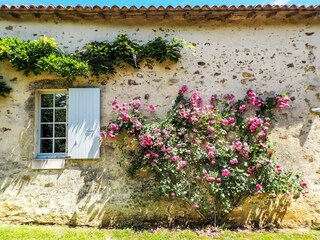 Vakantiehuis Marsais-Sainte-Radégonde  44