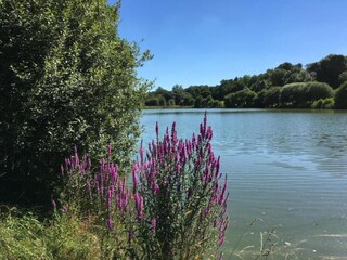 Casa per le vacanze Marsais-Sainte-Radégonde Ambiente 29