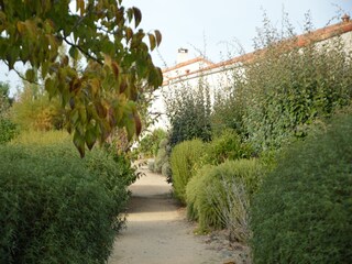 Holiday house Le Château-d'Olonne  33