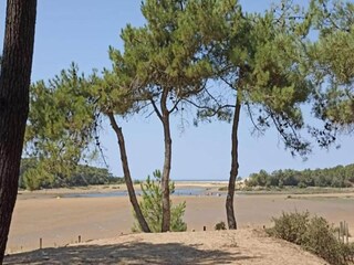 Maison de vacances Longeville-sur-Mer Environnement 35