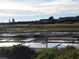 Maison de vacances Longeville-sur-Mer Environnement 38