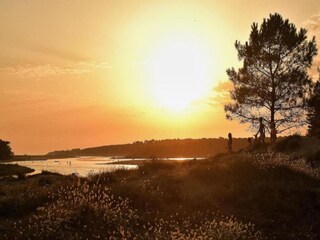 Vakantiehuis Longeville-sur-Mer Omgeving 27