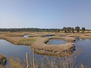 Maison de vacances Longeville-sur-Mer Environnement 31