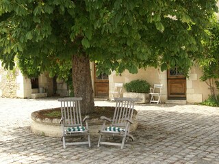 Ferienhaus Vouneuil-sur-Vienne Außenaufnahme 7