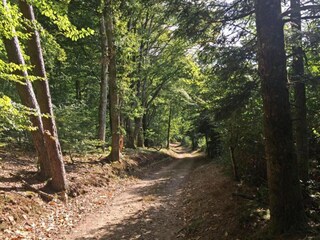 Vakantiehuis Eymoutiers Omgeving 30