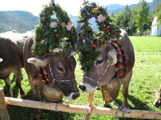 Appartamento per vacanze Pfronten Ambiente 22
