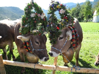 Appartement de vacances Pfronten Environnement 23