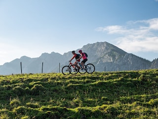 Appartement de vacances Pfronten Environnement 25