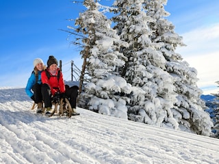 Appartement de vacances Pfronten Environnement 30