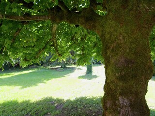 Holiday cottage Jumilhac-le-Grand Outdoor Recording 8