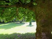 Casa de vacaciones Jumilhac-le-Grand Grabación al aire libre 1