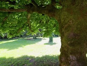 Casa vacacional Charmantes Cottage in Ladignac-le-Long mit Garten