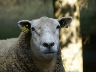 Maison de vacances Rochesson Enregistrement extérieur 6
