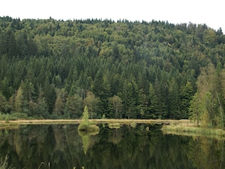 Ferienhaus Rochesson Umgebung 32