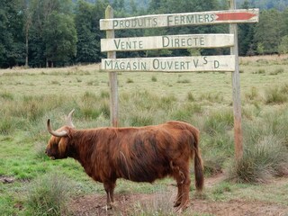Maison de vacances Rochesson  39