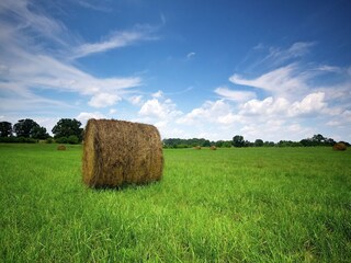 Maison de vacances Rochesson  40