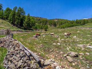 Appartamento per vacanze Graun  23
