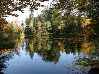 Villa Le Ménil Ambiente 29