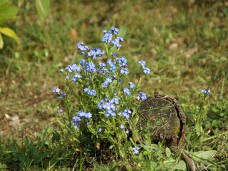 Villa Le Ménil Ambiente 36