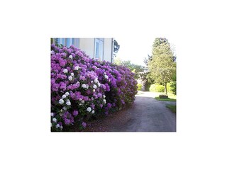 Cottage Vecoux  33