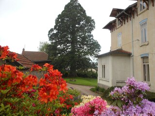 Type de propriété : Chalet Vecoux Enregistrement extérieur 2