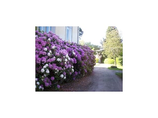 Cottage Vecoux  33