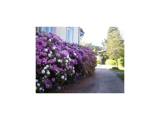 Vakantiehuisje Vecoux  33