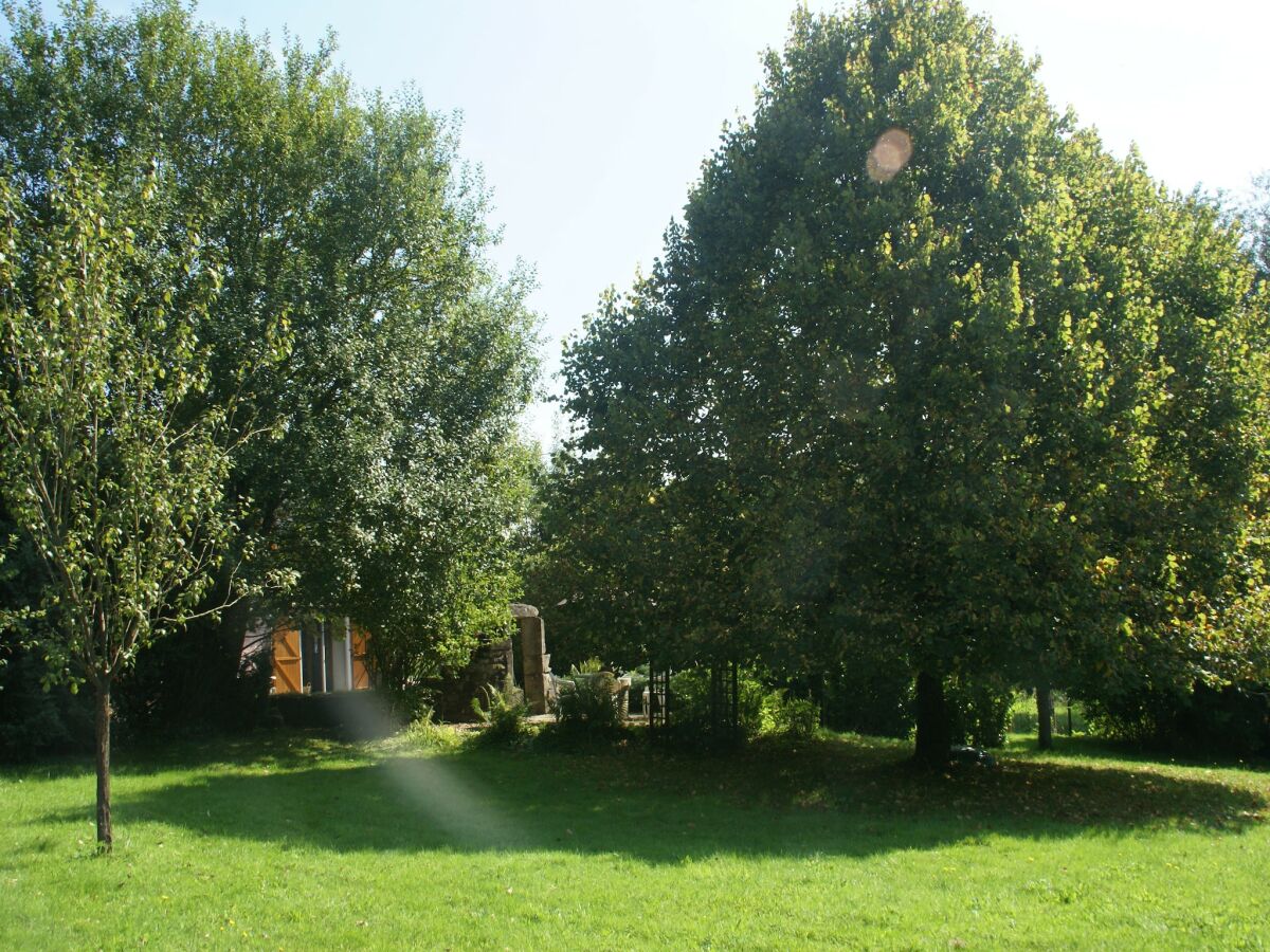 Ferienhaus Bains-les-Bains Außenaufnahme 13